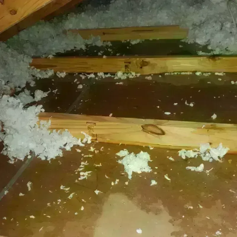 Attic Water Damage in Elkton, MD