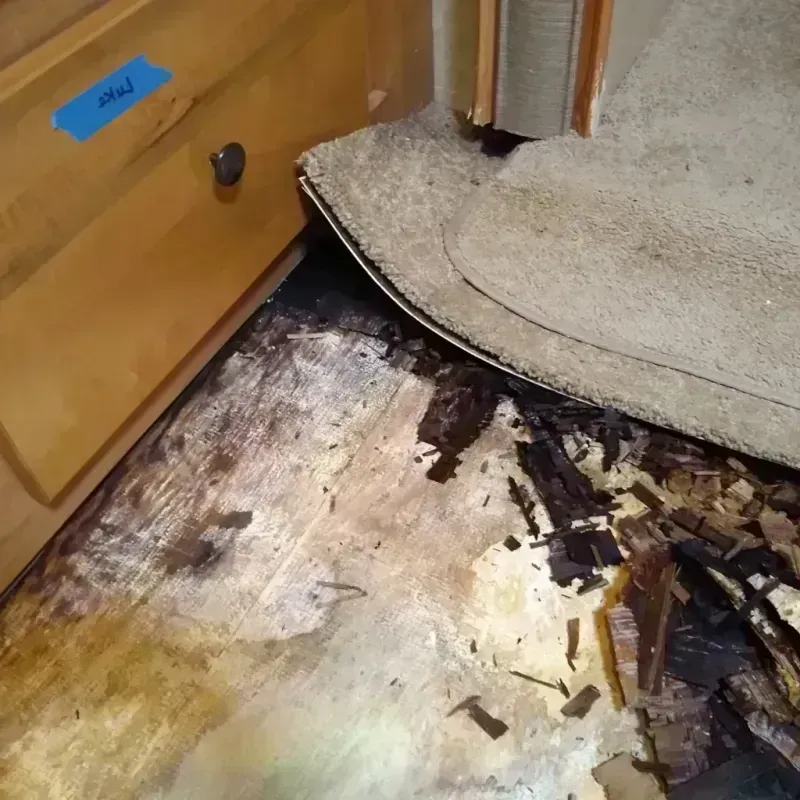 Wood Floor Water Damage in Elkton, MD